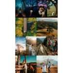 استودیو ردشات