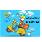 نمایندگی بیمه پارسیان چوپانی 504419