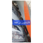قالیشویی بی همتا