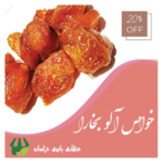 عطاری بانوی خراسان 