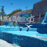 کیوسک مطبوعاتی عارف باقری