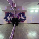 آکادمی هاله