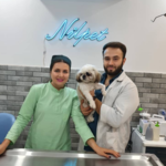 کلینیک دامپزشکی نیل پت