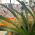 مجموعه تخصصی یوگا و ماساژ مروارید آبی