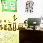 آموزشگاه زبان دانشوران خلاق