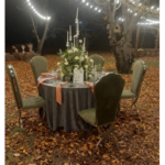 ظروف کرایه بلادی