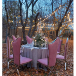 ظروف کرایه بلادی