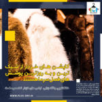 خشکشویی پلاس