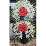 گلفروشی مسیحا