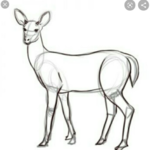 آموزشگاه نقاشی تماشاگه راز