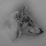 آموزشگاه نقاشی تماشاگه راز