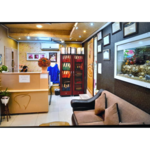 مطب دندانپزشکی دکتر لیلا غیوری زاد 