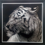 آموزشگاه طراحی و نقاشی آذین 