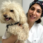 دامپزشکی آینده