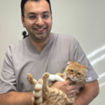 دامپزشکی آینده