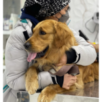 کلینیک دامپزشکی دکتر حامد قنبری