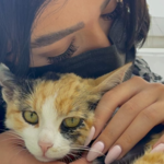 کلینیک دامپزشکی دکتر حامد قنبری