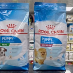 کلینیک دامپزشکی دکتر حامد قنبری