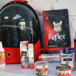 کلینیک دامپزشکی دکتر حامد قنبری