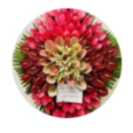 گل فروشی زیبا