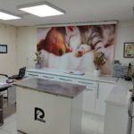 کلینیک دامپزشکی پانیا