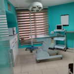 کلینیک دامپزشکی پانیا