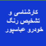 کارشناسی تشخیص رنگ خودرو عباسپور