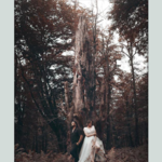  دفتر فیلمبرداری و عکاسی پارسا