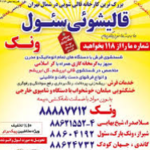 قالیشویی سئول