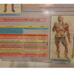 مرکز طب سنتی و حجامت اسدی