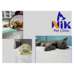 کلینیک دامپزشکی نیک پلاس