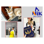 کلینیک دامپزشکی نیک پلاس