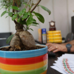 دارالترجمه رسمی گلبرگ 674