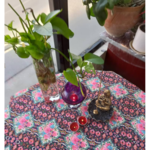  ماساژ درمانی لوندر ویژه بانوان