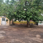 آموزشگاه رانندگی کاوه