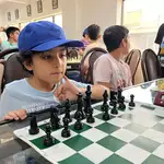 مدرسه شطرنج ایندگان