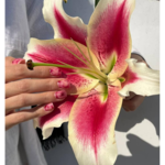 سالن زیبایی شرمین شایسته