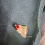 مرکز گوش و شنوایی غرب