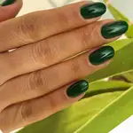 کاشت ناخن پرستو