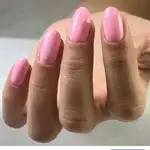 کاشت ناخن پرستو