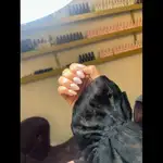 کاشت ناخن میرا