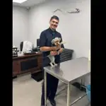 خدمات دامپزشک در منزل دکتر فربود والیانی