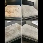 قالیشویی رسالت