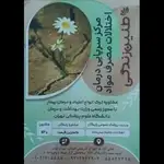  کلینیک ترک اعتیاد طنین زندگی