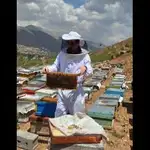 فروشگاه خان عسل