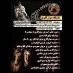 باشگاه سوارکاری و آموزش اسب سواری راگا