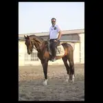 باشگاه سوارکاری و آموزش اسب سواری راگا