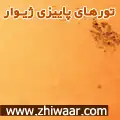related-image