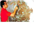 related-image