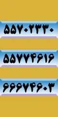 related-image